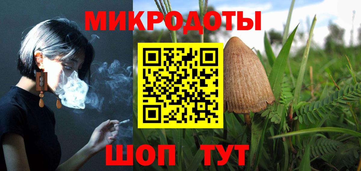 Галлюциногенные грибы Cubensis  Вход с VPN  Шебекино 