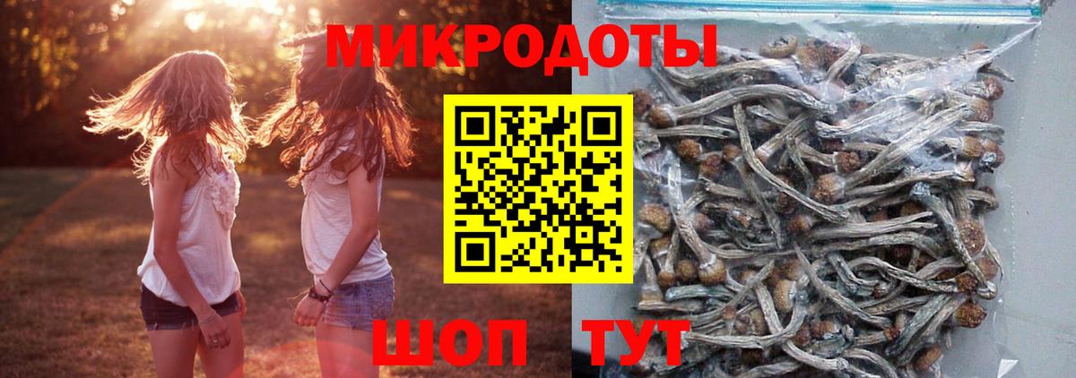 Галлюциногенные грибы мицелий Шебекино